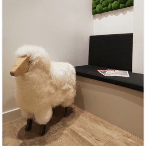 mouton isidore - La compagnie des moutons des alpes